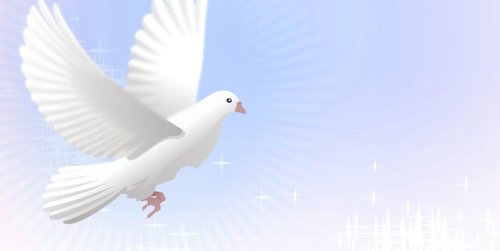 יונה לבנה עפה עם כנפיים פרושות בשמיים בהירים מוארים.