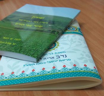 תמונה של כריכה רכה וכריכת סיכות