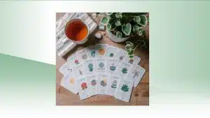 ספל תה, קלפי איור בוטניים וצמח ירוק על שולחן עץ.