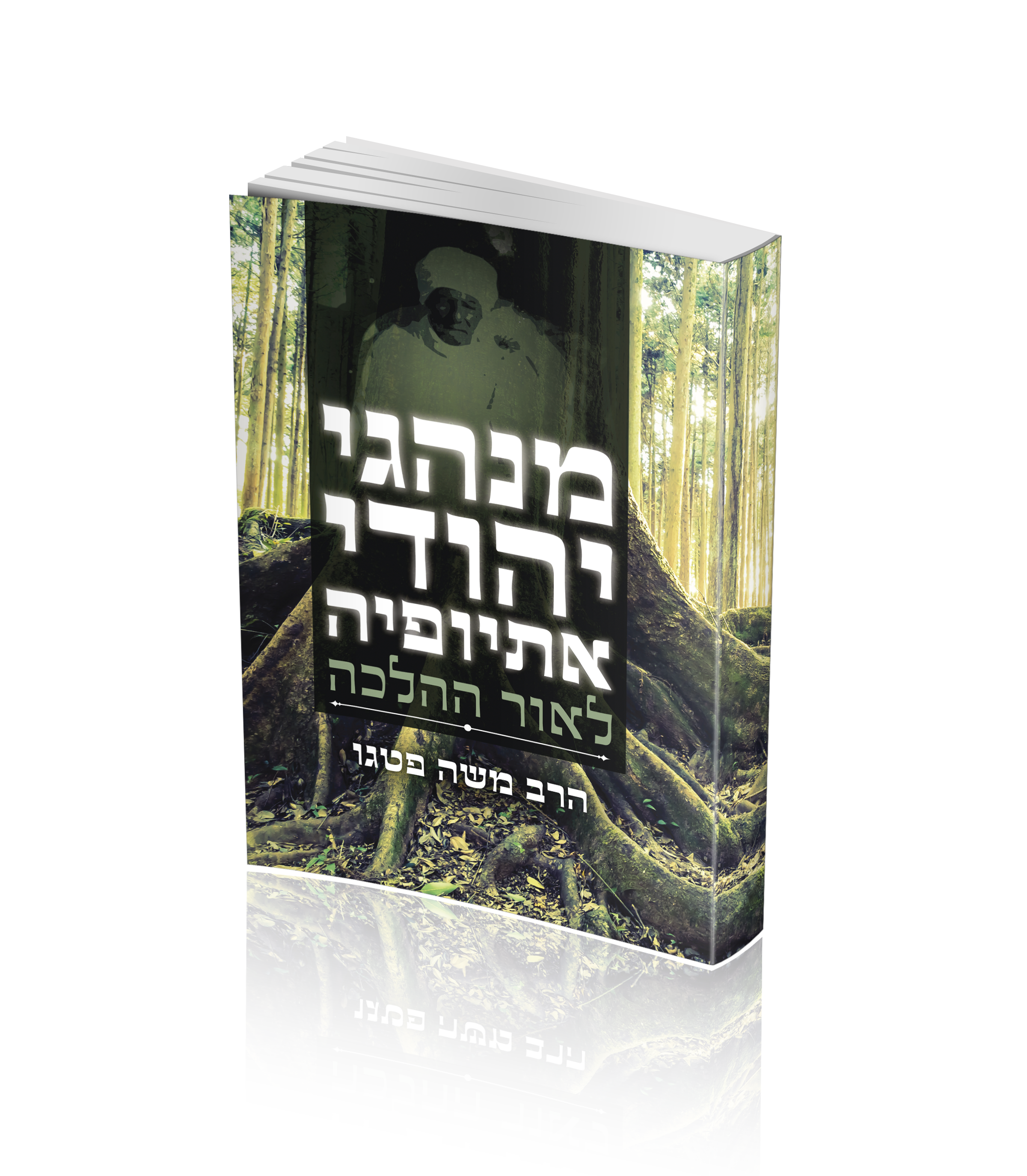 הדמיה של הספר מנהגי יהודי אתיופיה לאור ההלכה