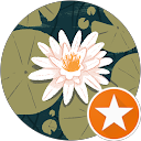 Gila Orkin profile picture