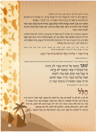 הגדה חום - עמוד 13